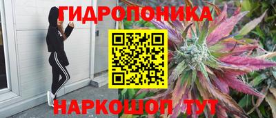 герыч Моздок