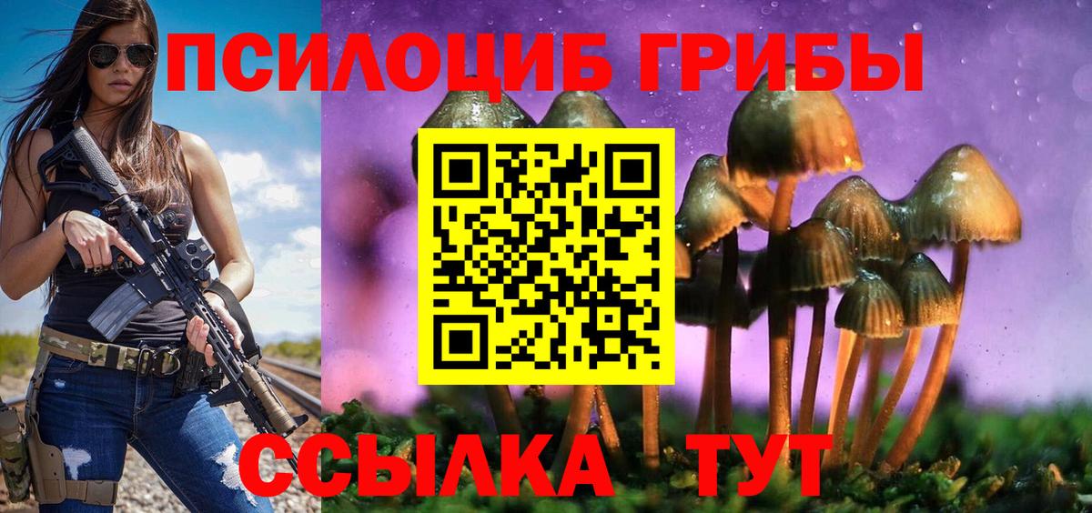 Галлюциногенные грибы прущие грибы  Вход с VPN  Тула 